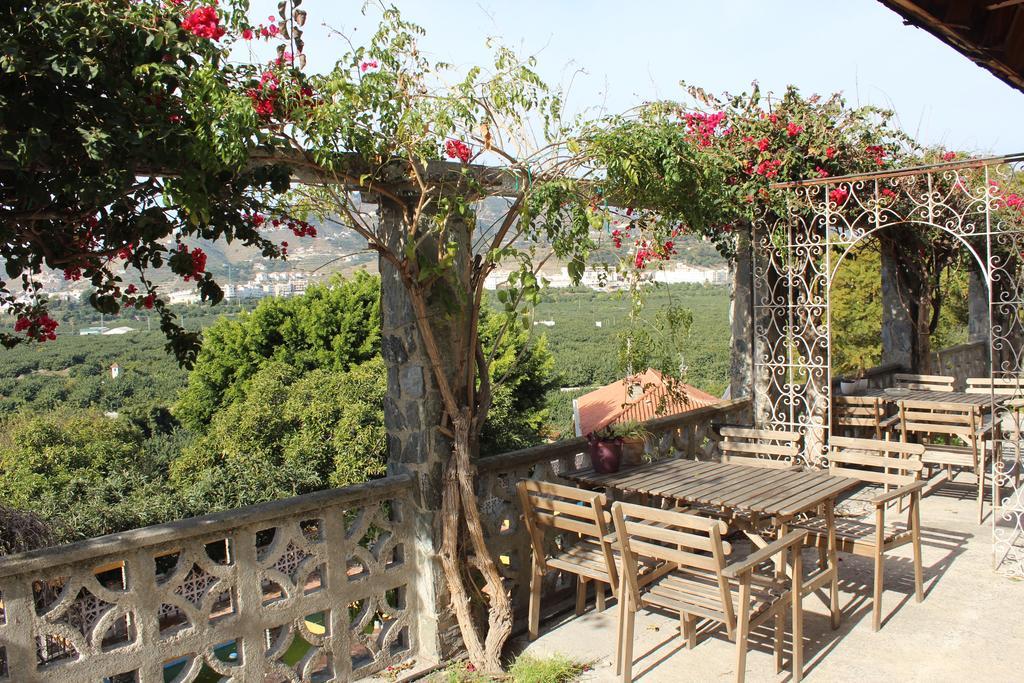Camping Tropical Almuñécar חדר תמונה
